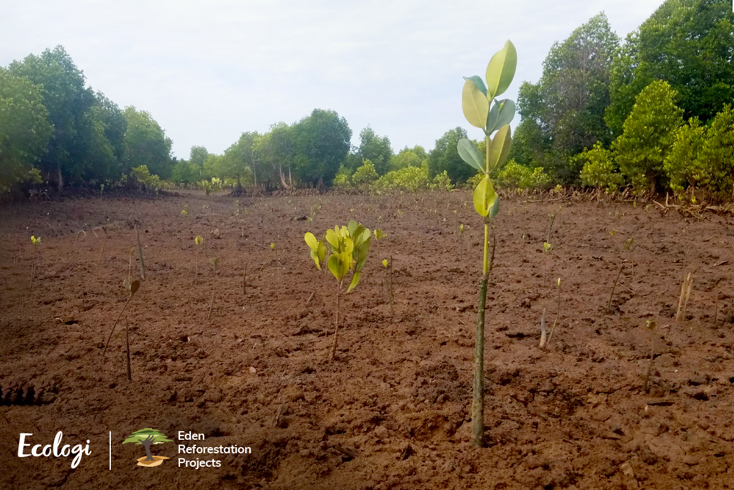 BMA Supports Global Climate Programme Card Image