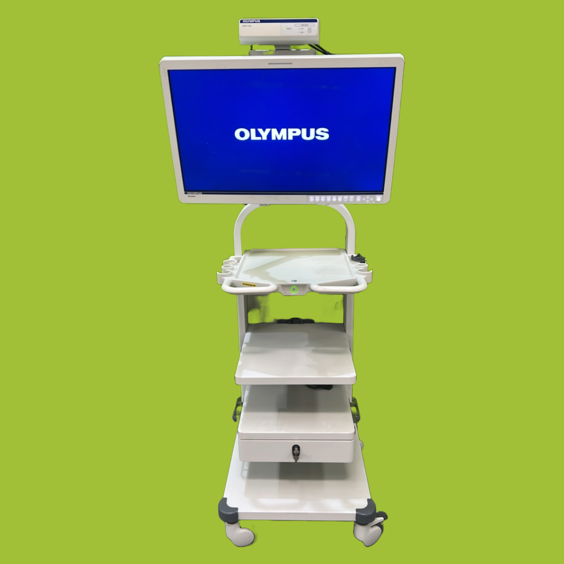 Olympus WM-NP2 Endoscopic System with OEV262H Monitor Image